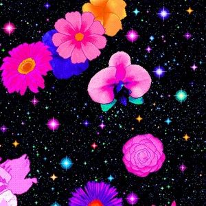 Meet your Posher, Kayden